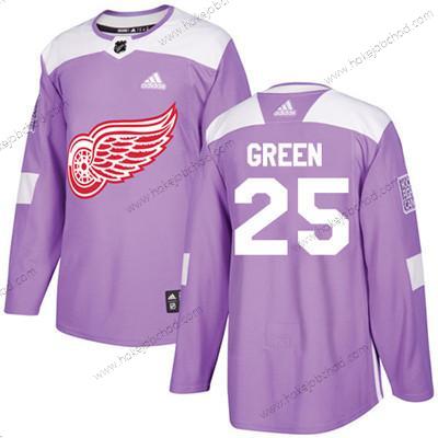 Adidas Mládež Detroit Red Wings #25 Mike Zelená Nachový Autentické Bojuje proti rakovině Sešitý NHL Dres