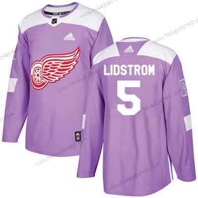 Adidas Mládež Detroit Red Wings #5 Nicklas Lidstrom Nachový Autentické Bojuje proti rakovině Sešitý NHL Dres