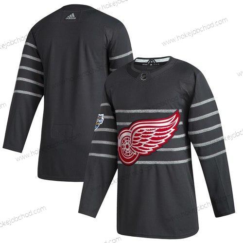 Adidas Muž Detroit Red Wings Prázdný Šedá 2020 NHL All-Star Game Dres