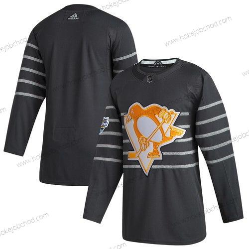 Adidas Muž Pittsburgh Penguins Prázdný Šedá 2020 NHL All-Star Game Dres