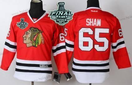 Mládež Chicago Blackhawks #65 Andrew Shaw 2015 Stanley Cup Červené Dres