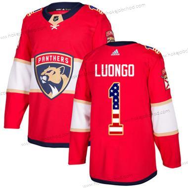 Mládež Florida Panthers #1 Roberto Luongo Červené Domácí Autentické USA Flag Sešitý NHL Dres