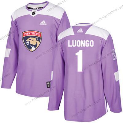 Mládež Florida Panthers #1 Roberto Luongo Nachový Autentické Bojuje proti rakovině Sešitý NHL Dres