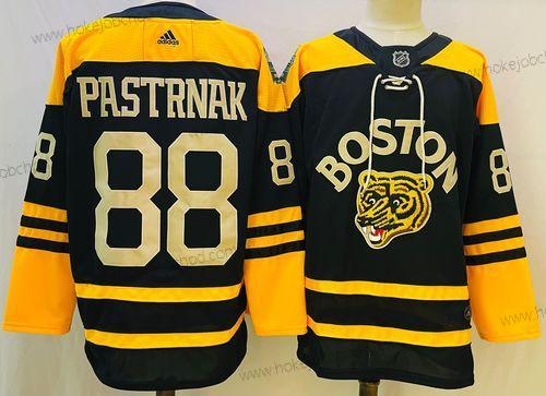 Muž Boston Bruins #88 David Pastrnak Černá Klasický Primegreen Sešitý Dres