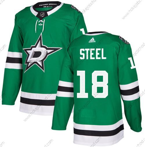 Muž Dallas Stars #18 Sam Steel Zelená Sešitý Dres