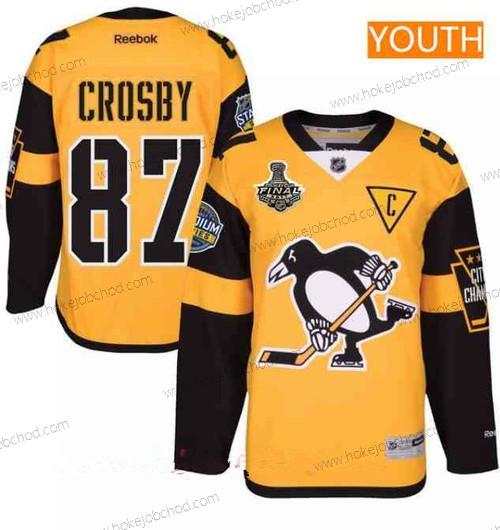 Muž Mládež Pittsburgh Penguins #87 Sidney Crosby Žlutá Stadium Series 2017 Stanley Cup Finals Patch Sešitý NHL Reebok Hokejový Dres