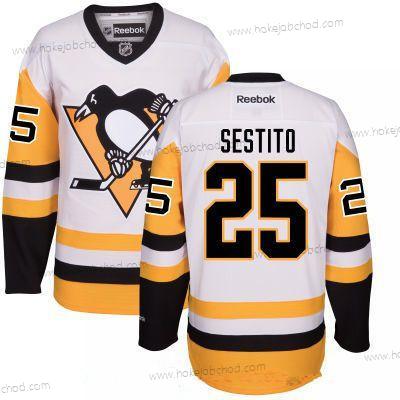 Muž Pittsburgh Penguins #25 Tom Sestito Bílý Alternativní Sešitý NHL Reebok Hokejový Dres