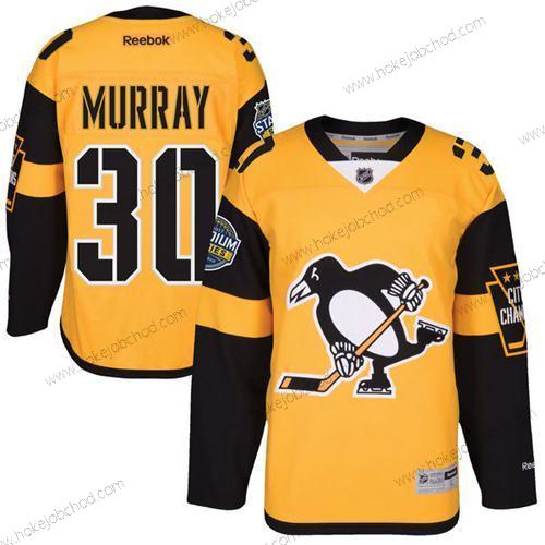 Muž Pittsburgh Penguins #30 Matt Murray Černá 2017 Stadium Series Sešitý NHL Dres