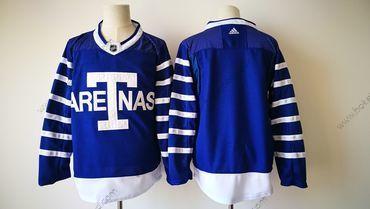 Muž Toronto Maple Leafs Prázdný Royal Modrý Arenas 2017-2018 Hokejový Sešitý NHL Dres