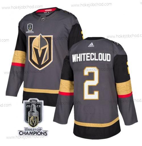 Muž Vegas Golden Knights #2 Zach Bílýcloud Šedá 2023 Stanley Cup Champions Sešitý Dres