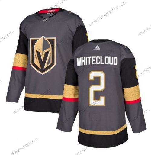 Muž Vegas Golden Knights #2 Zach Bílýcloud Šedá Sešitý Dres