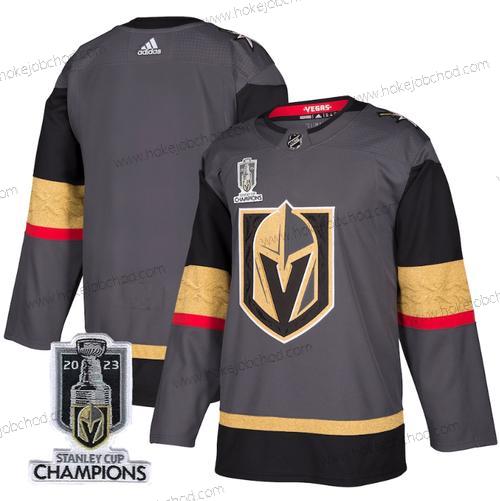 Muž Vegas Golden Knights Prázdný Šedá 2023 Stanley Cup Champions Sešitý Dres